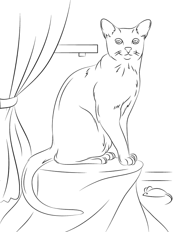 Desenho de Gatos para colorir