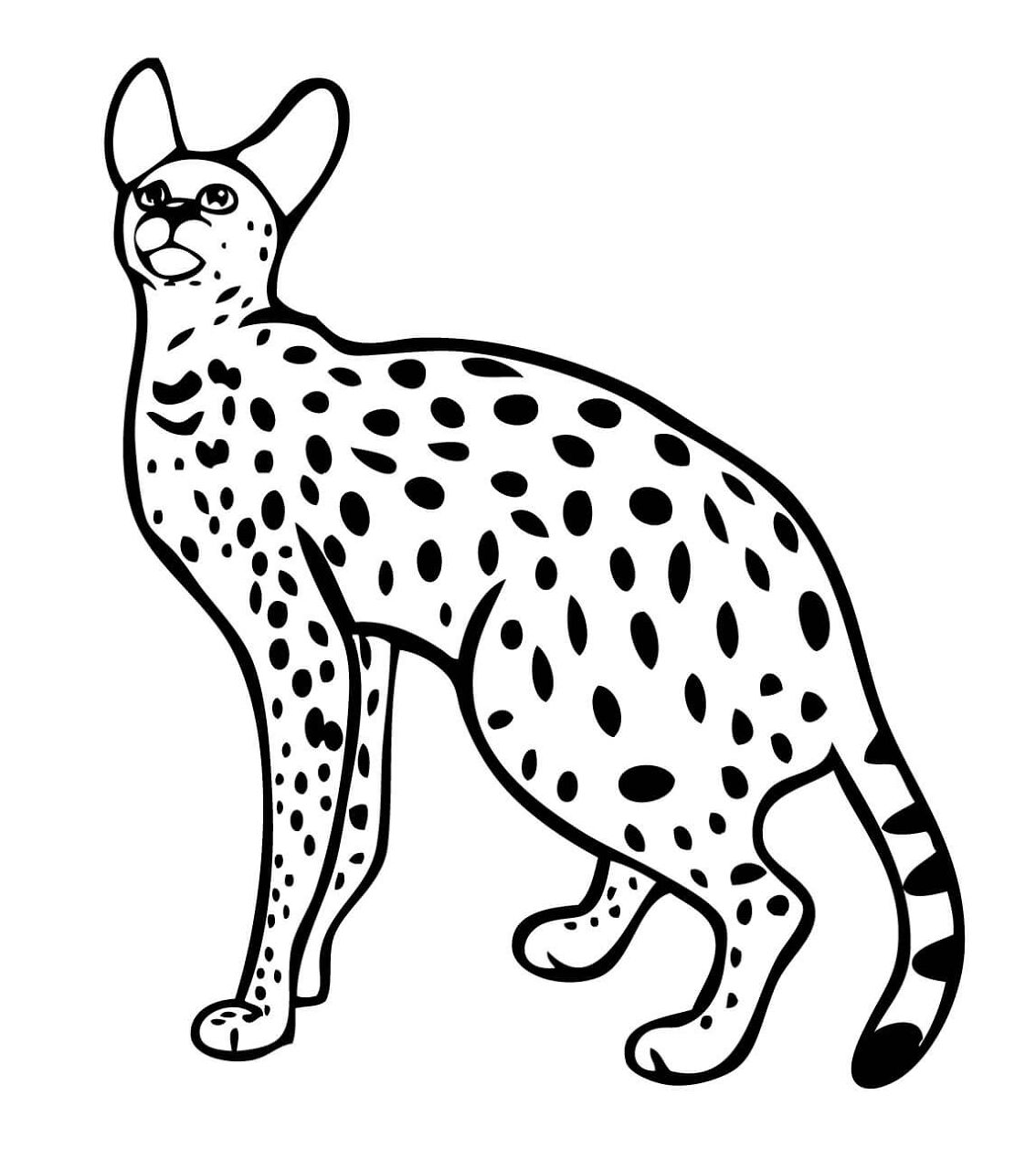 Desenho de Gatos para colorir
