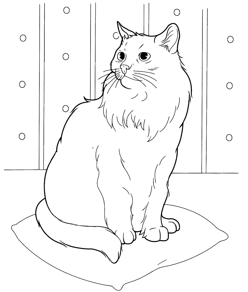Desenho de Gatos para colorir