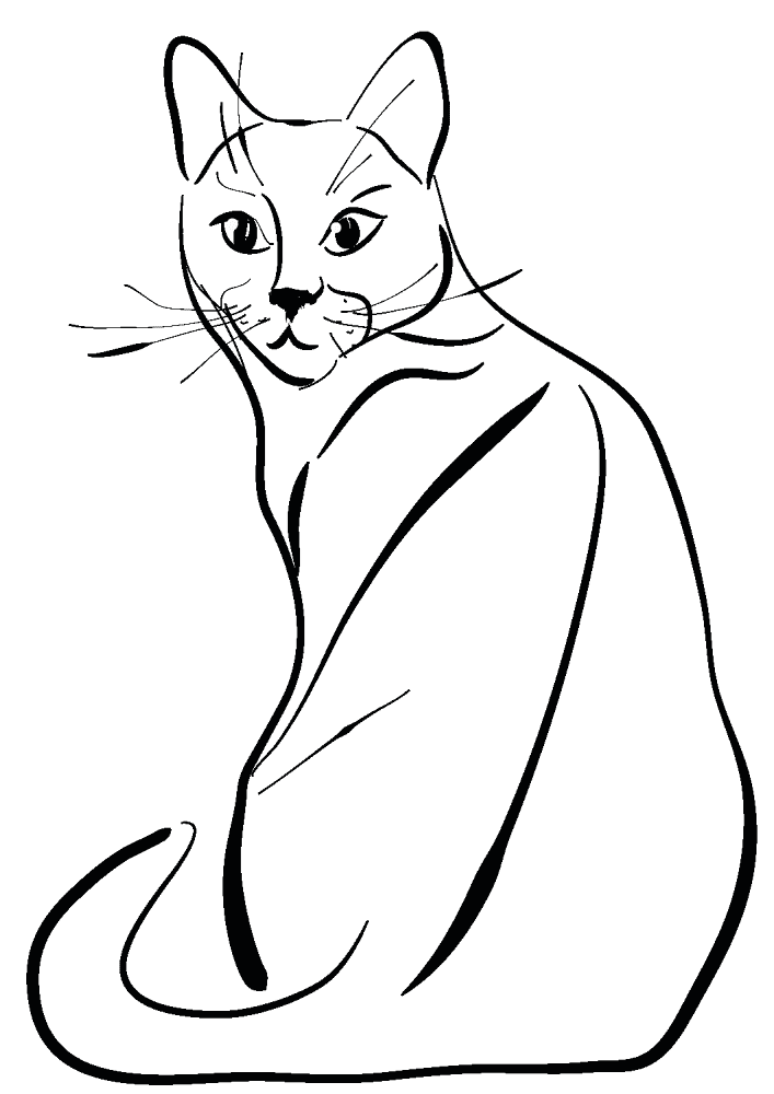 Desenho de Gatos para colorir