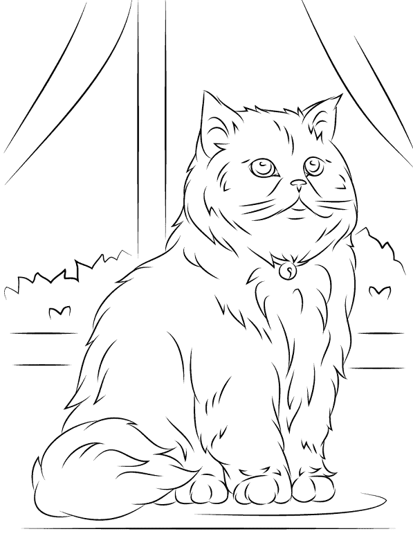 Desenho de Gatos para colorir