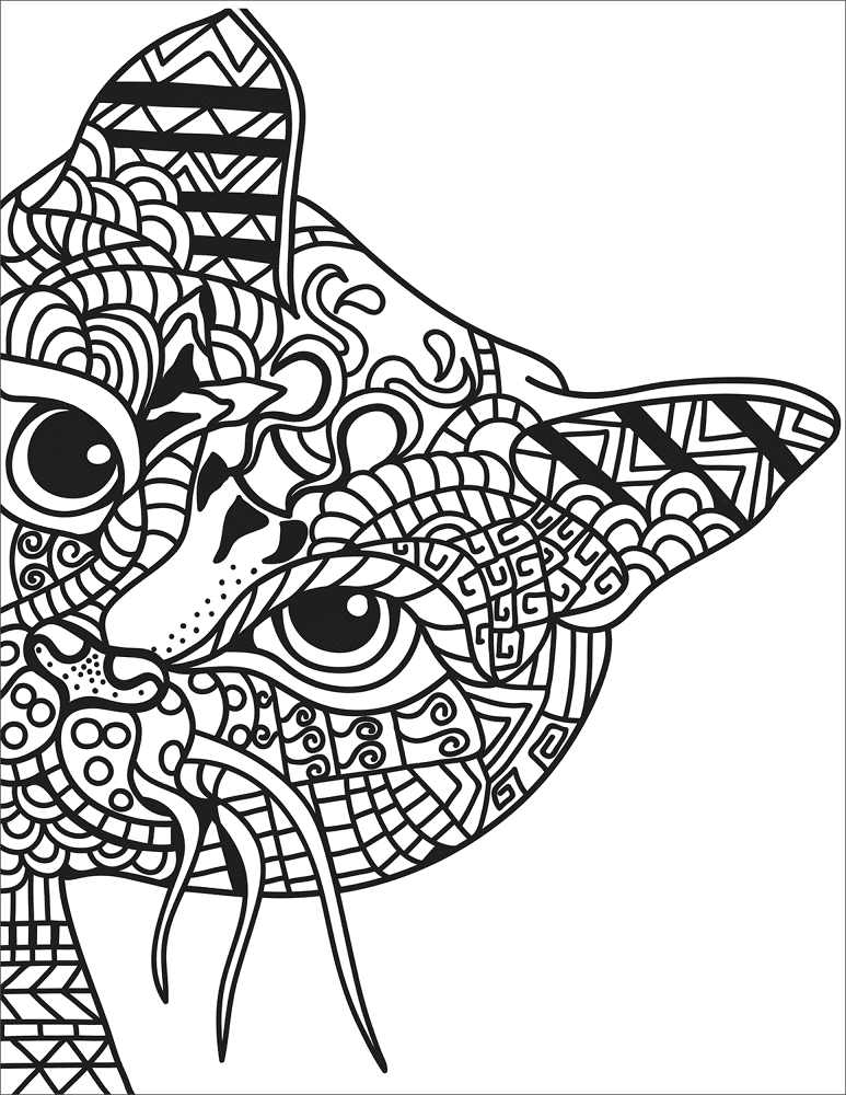 Desenho de Gatos para colorir