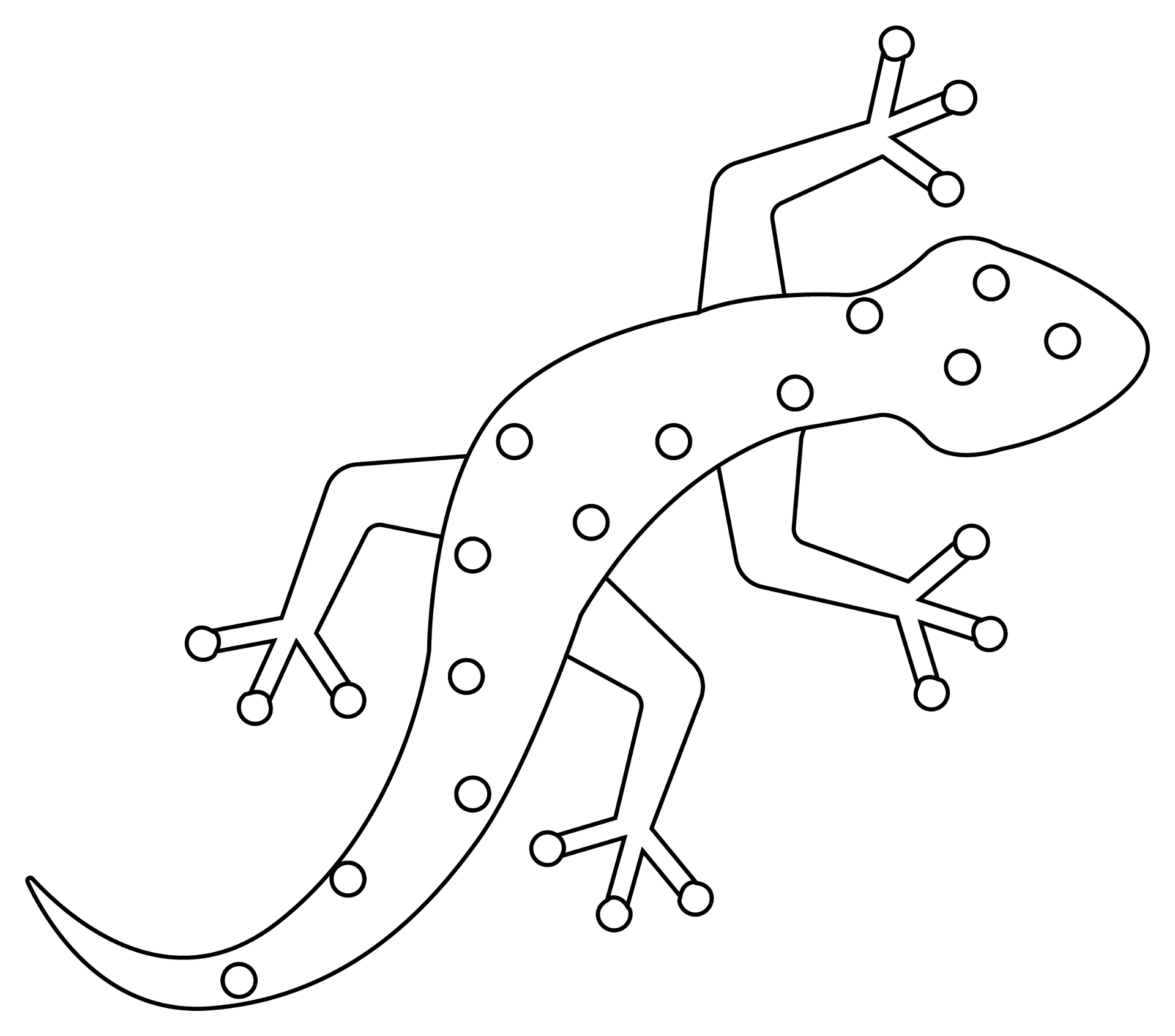 Desenho de Geco para colorir e imprimir: número 5