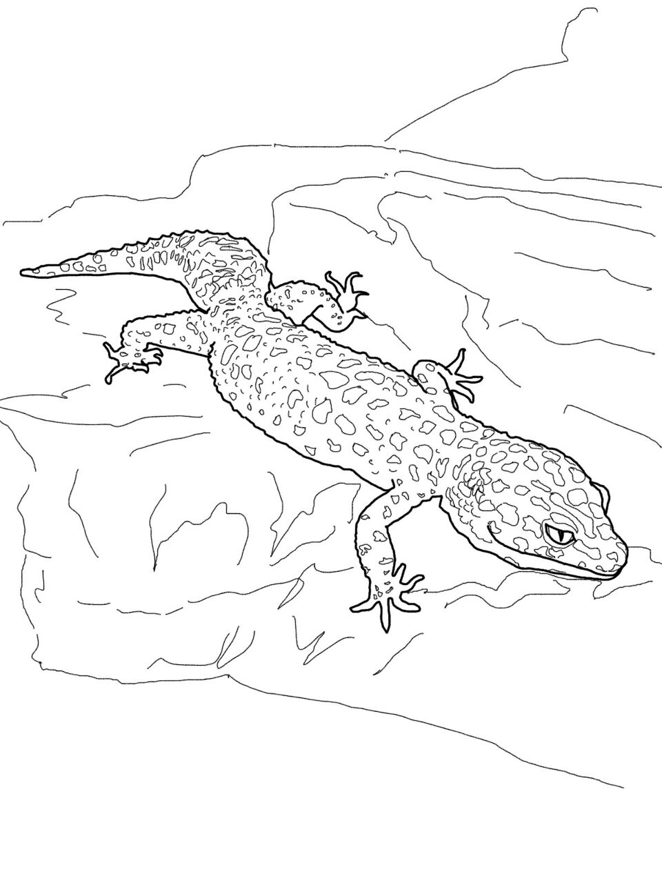 Desenho de Geco para colorir e imprimir: número 9