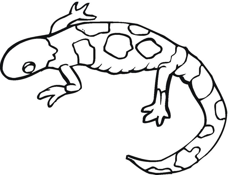 Desenho de Geco para colorir e imprimir: número 10