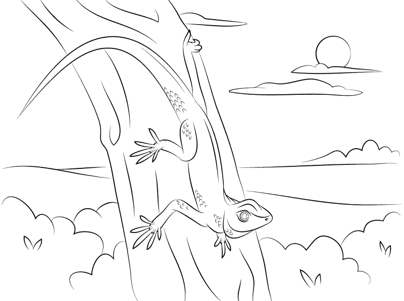 Desenho de Geco para colorir e imprimir: número 14