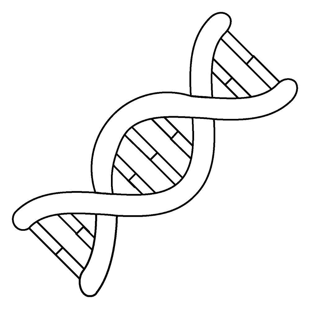 Desenho de Geral para colorir e imprimir: número 34
