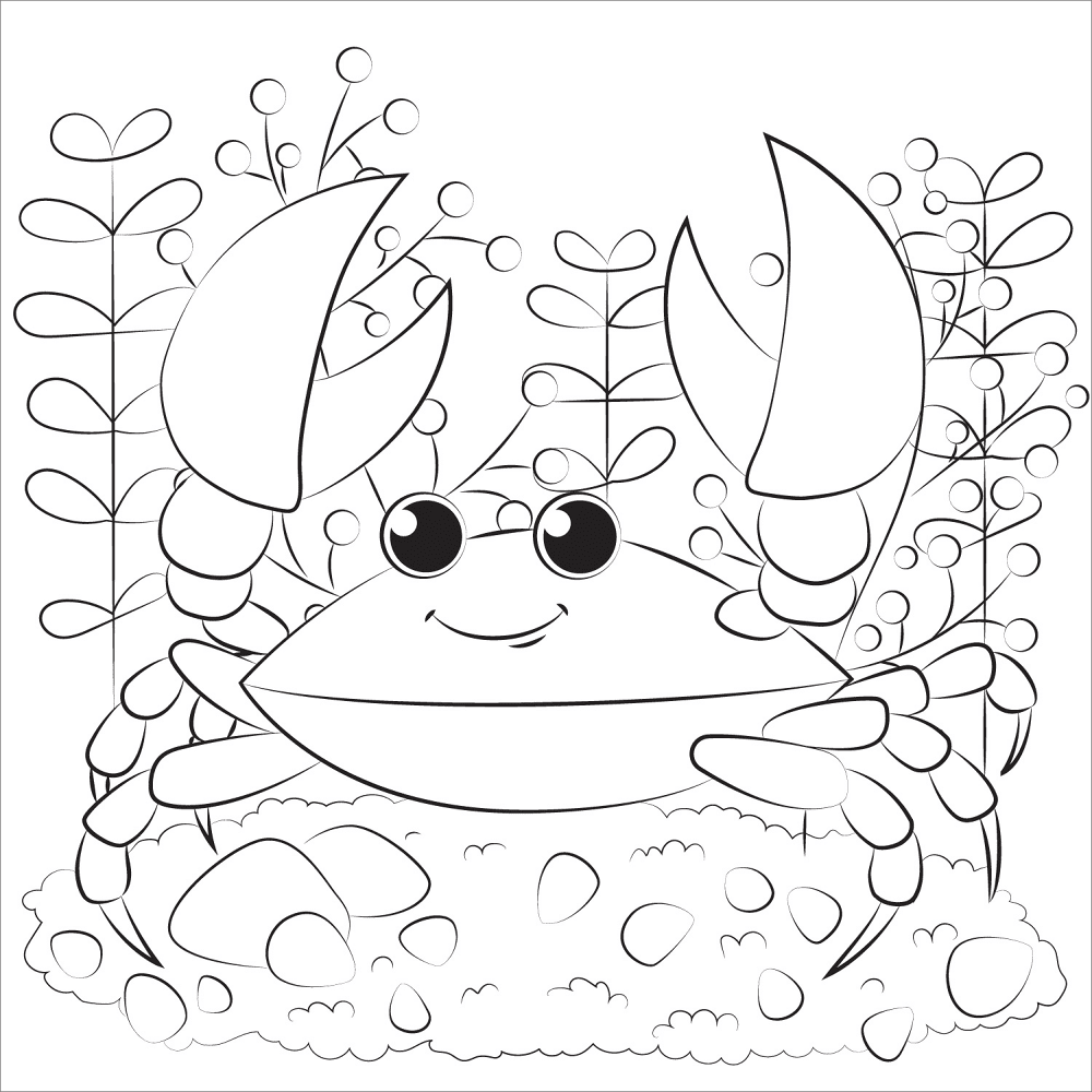 Desenho de Geral para colorir e imprimir: número 38