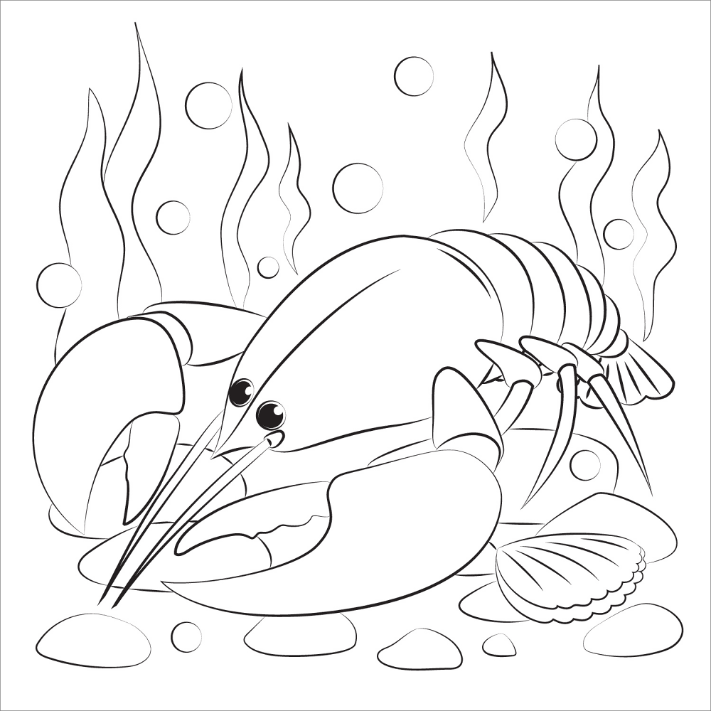 Desenho de Geral para colorir e imprimir: número 39