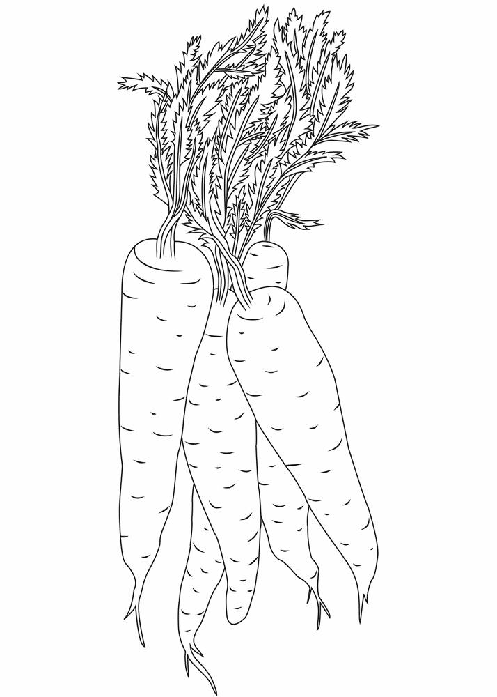 Desenho de Geral para colorir e imprimir: número 44