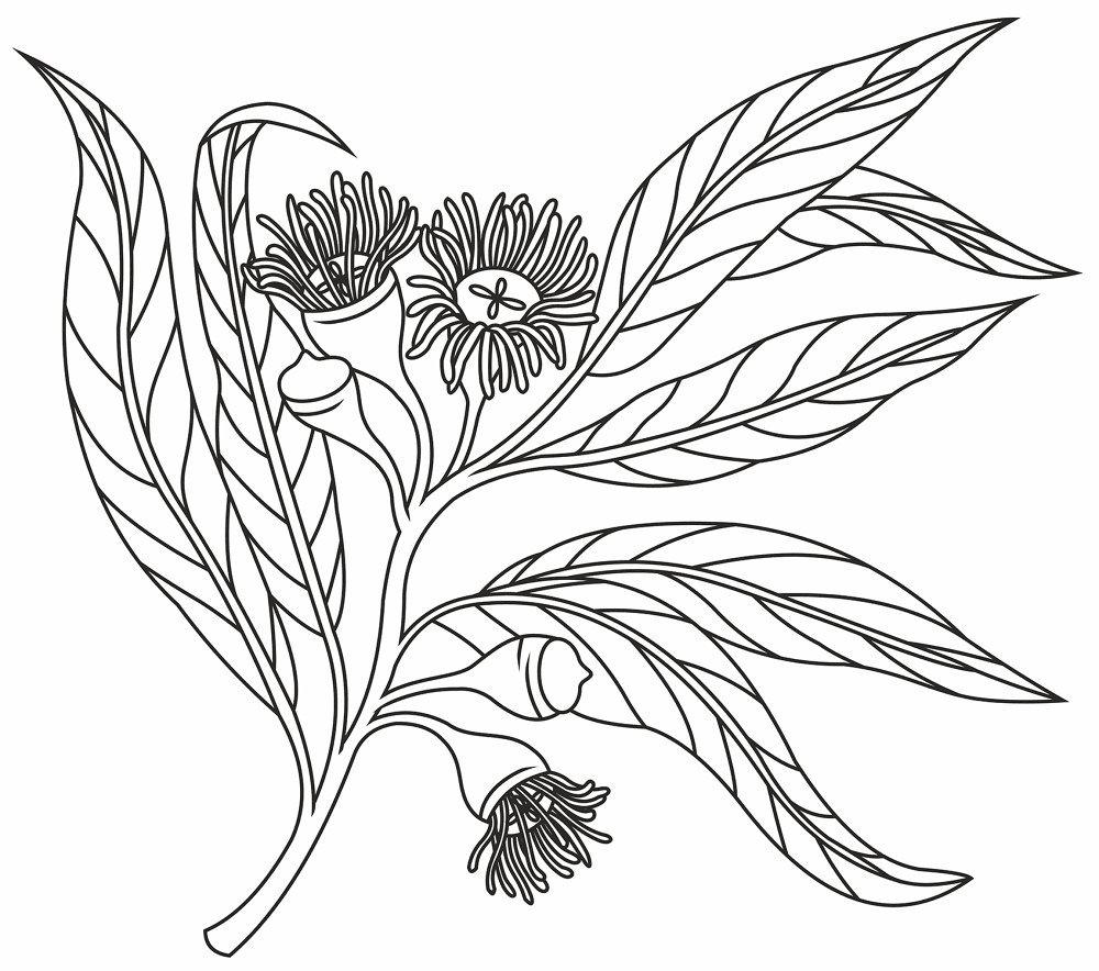 Desenho de Geral para colorir e imprimir: número 46