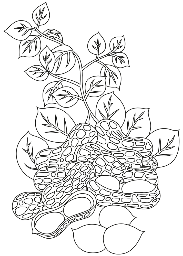 Desenho de Geral para colorir e imprimir: número 47