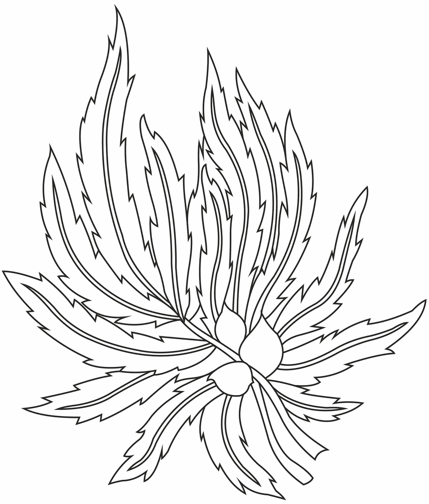 Desenho de Geral para colorir