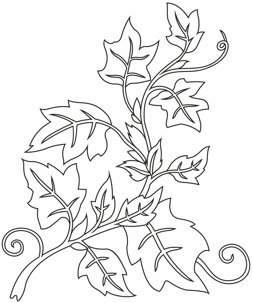 Desenho de Geral para colorir
