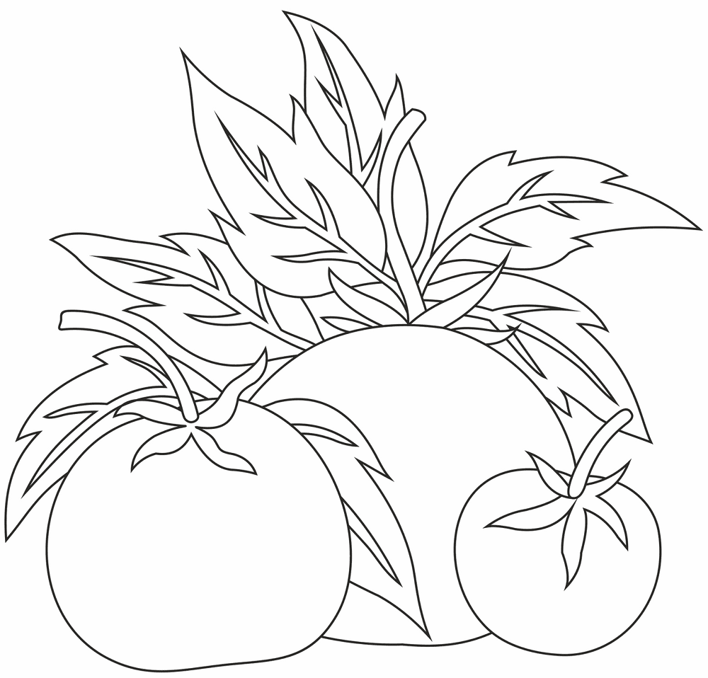 Desenho de Geral para colorir