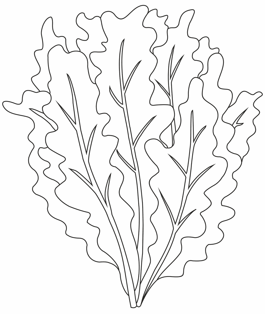 Desenho de Geral para colorir