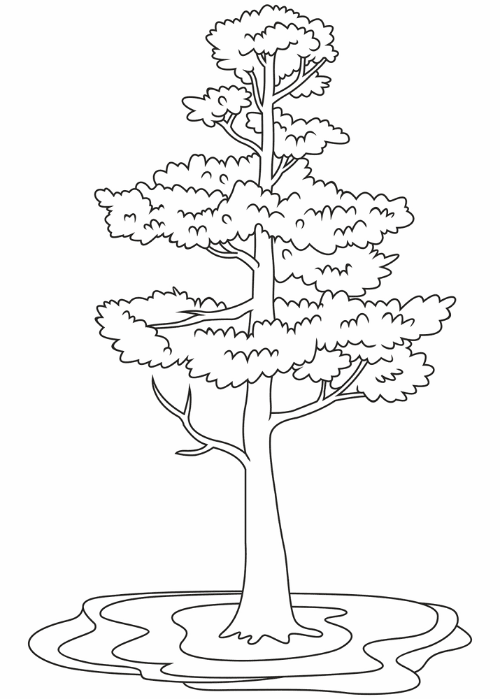 Desenho de Geral para colorir