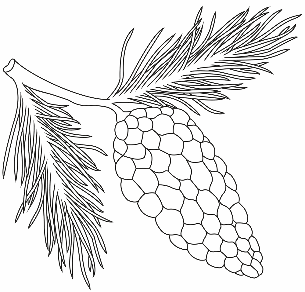 Desenho de Geral para colorir