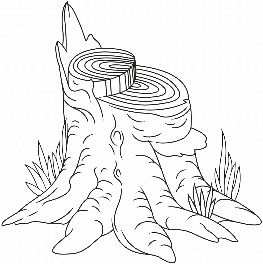 Desenho de Geral para colorir