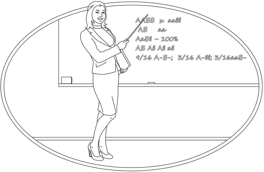 Desenho de Geral para colorir
