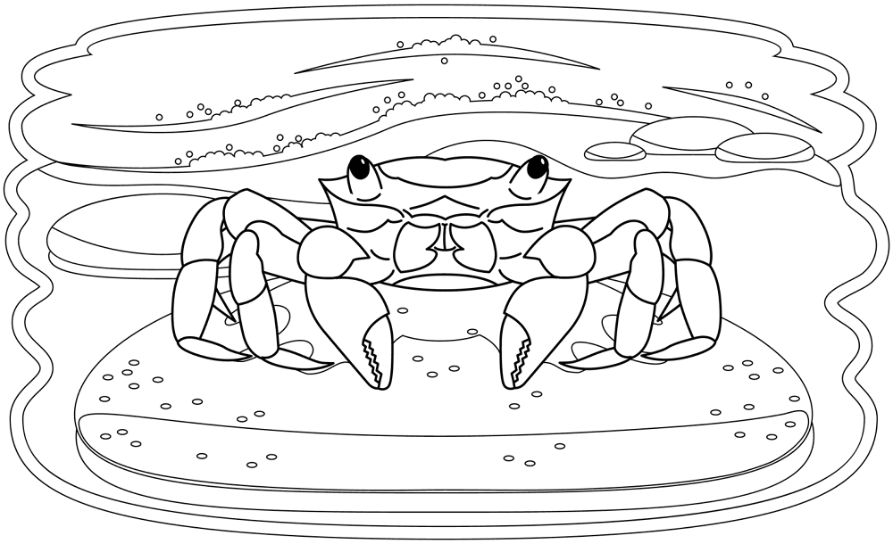 Desenho de Geral para colorir