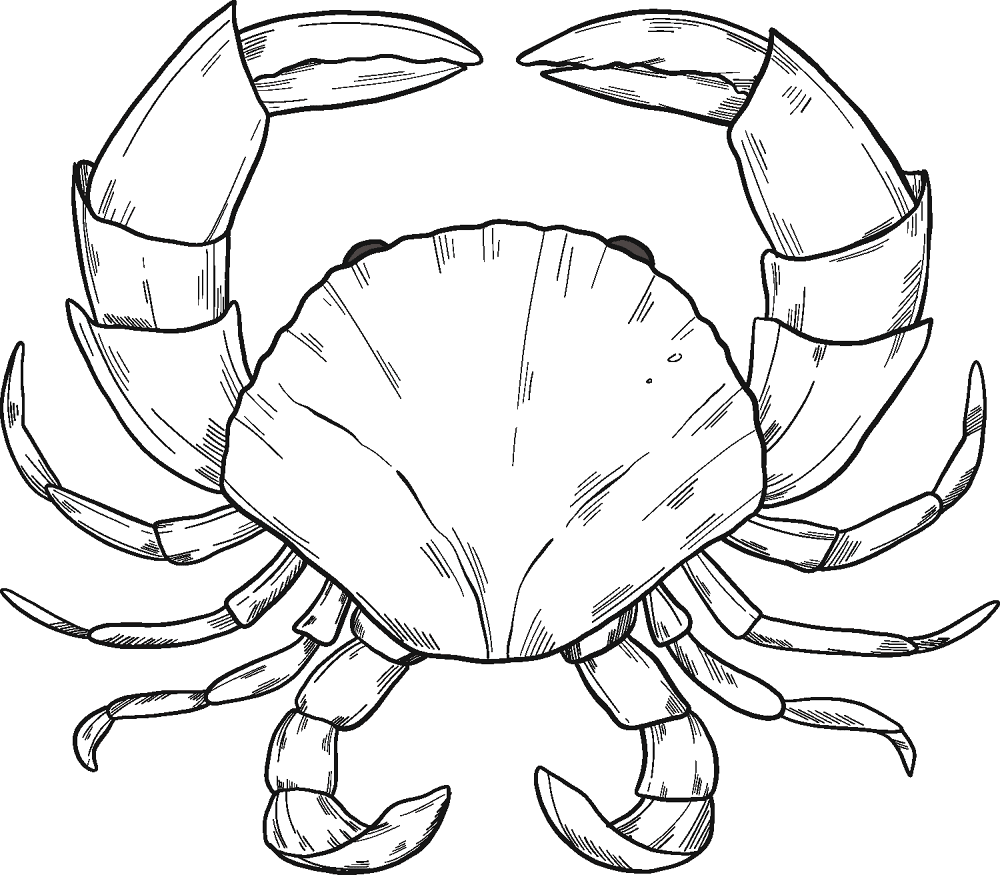 Desenho de Geral para colorir