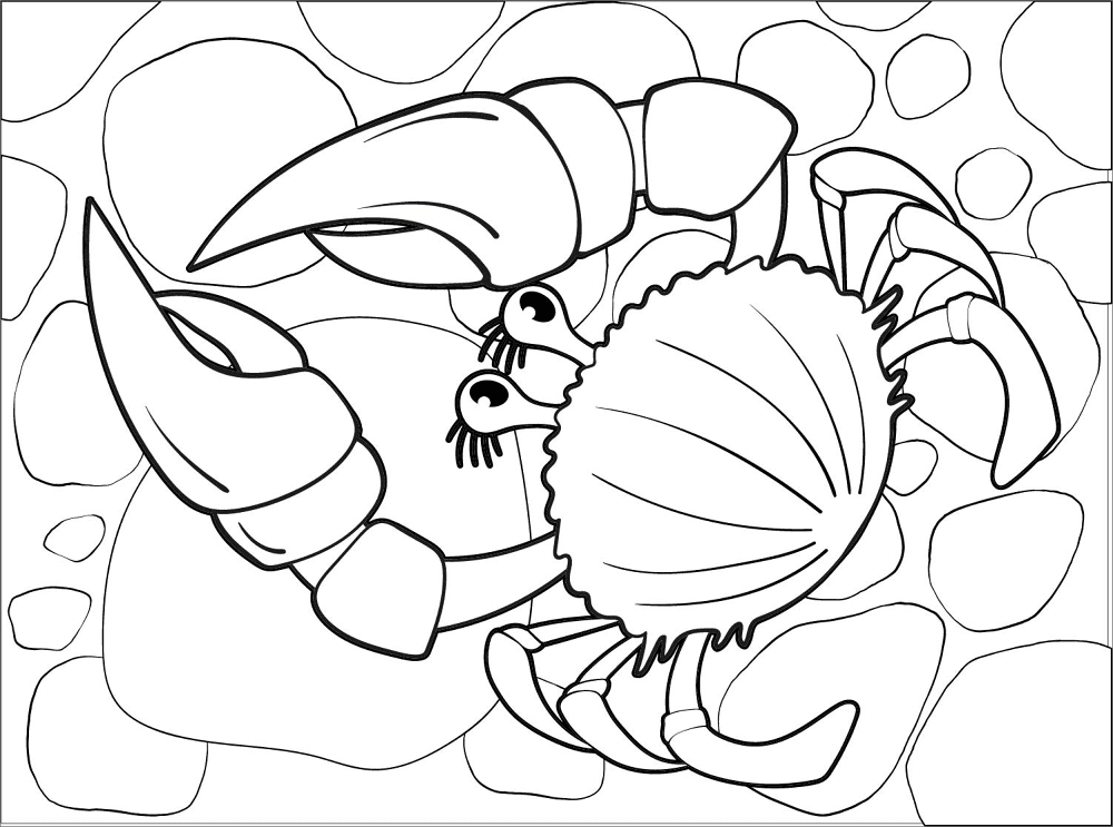 Desenho de Geral para colorir