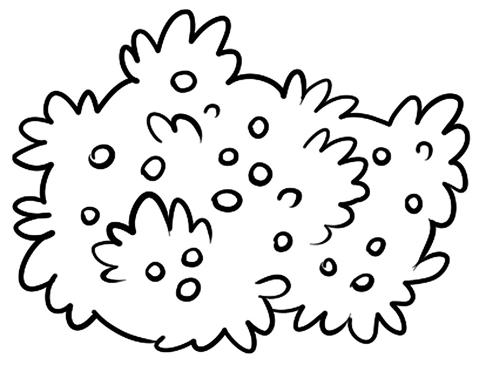 Desenho de Geral para colorir