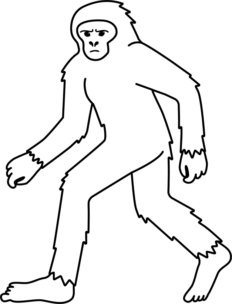 Desenho de Geral para colorir