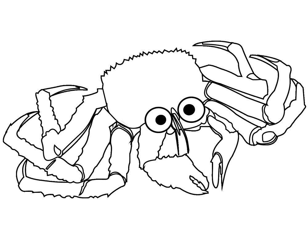 Desenho de Geral para colorir