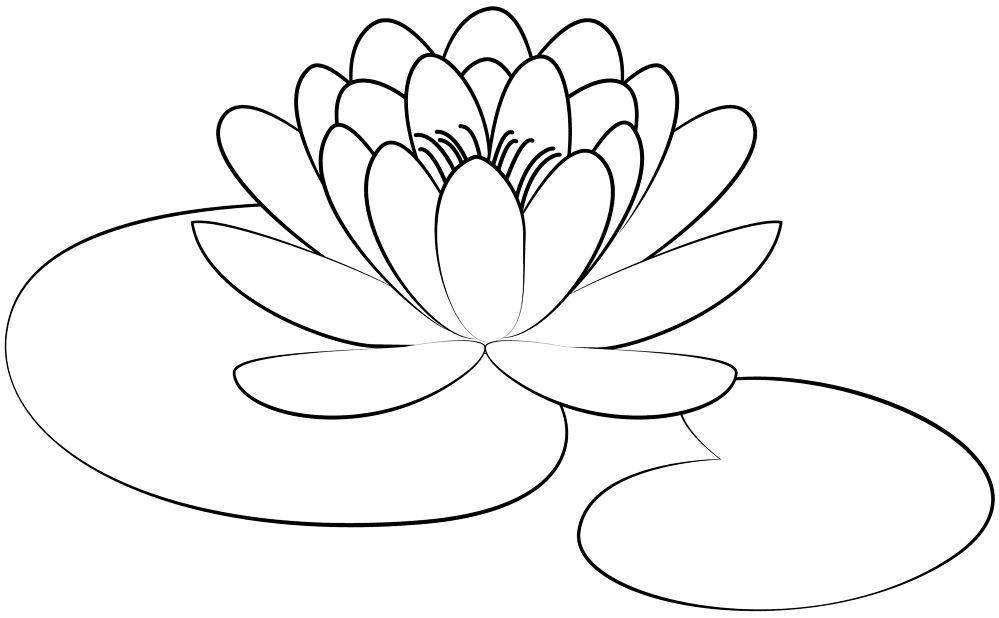 Desenho de Geral para colorir