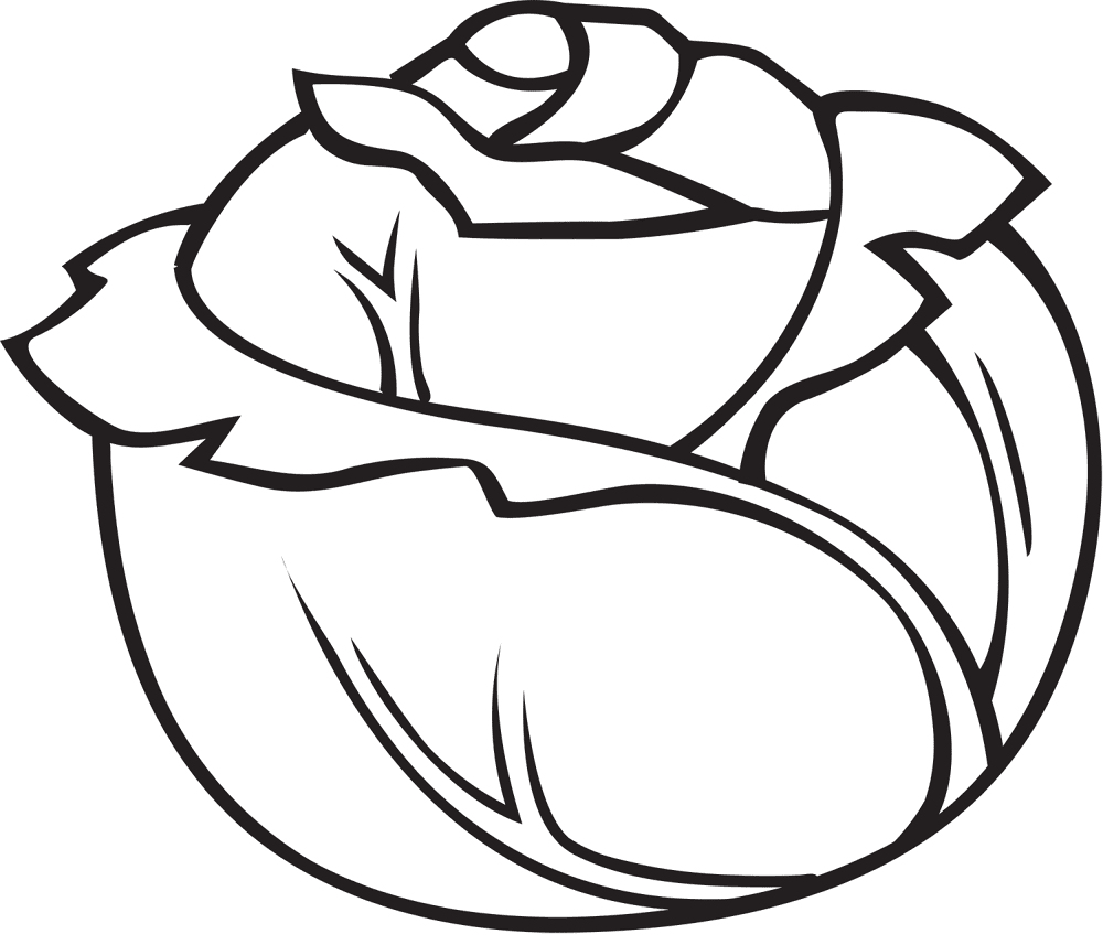 Desenho de Geral para colorir