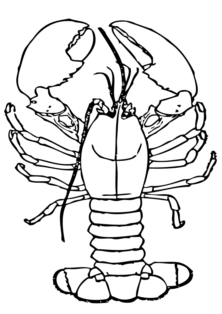 Desenho de Geral para colorir