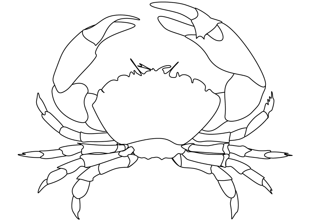 Desenho de Geral para colorir