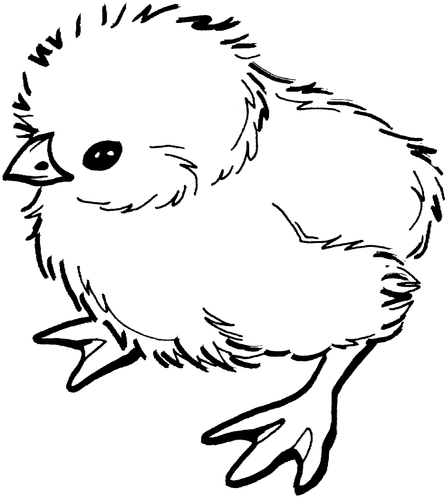 Desenho de Geral para colorir