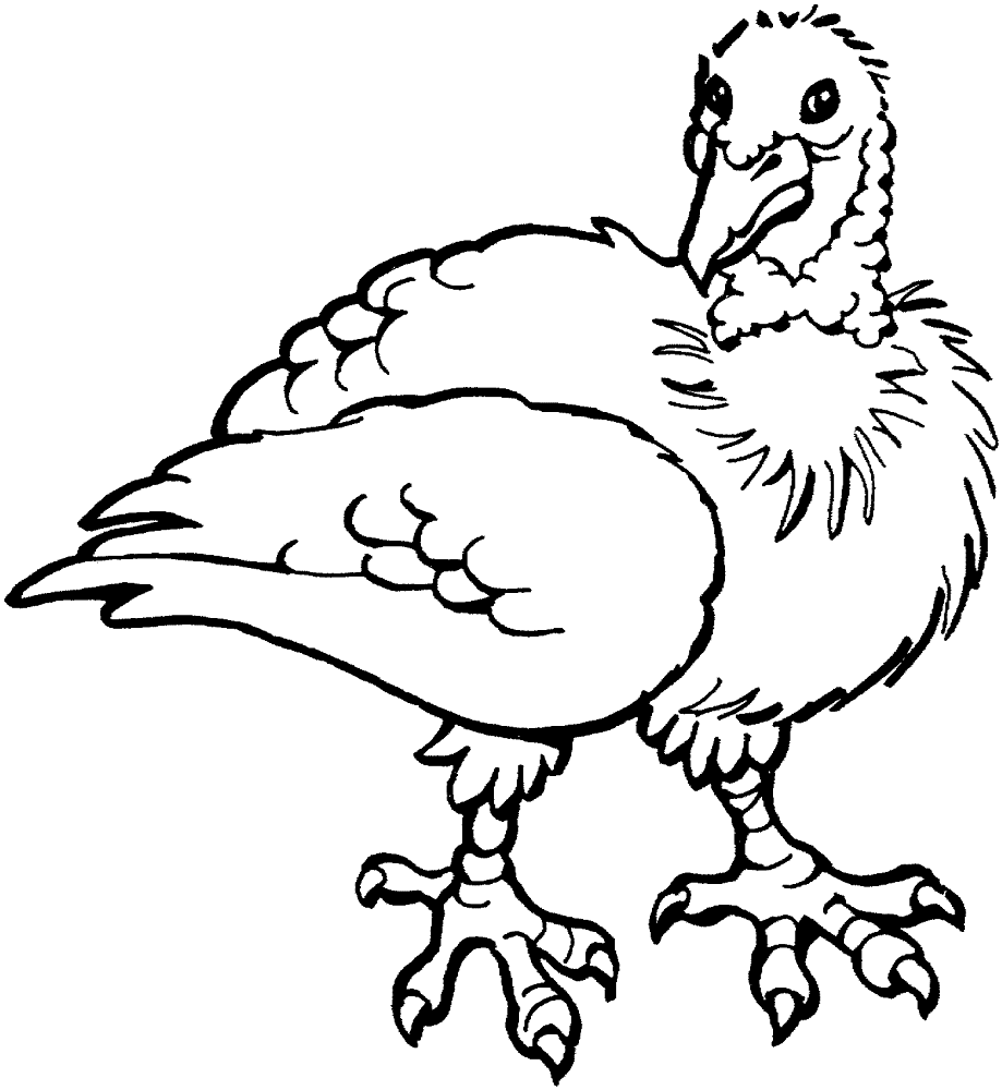 Desenho de Geral para colorir