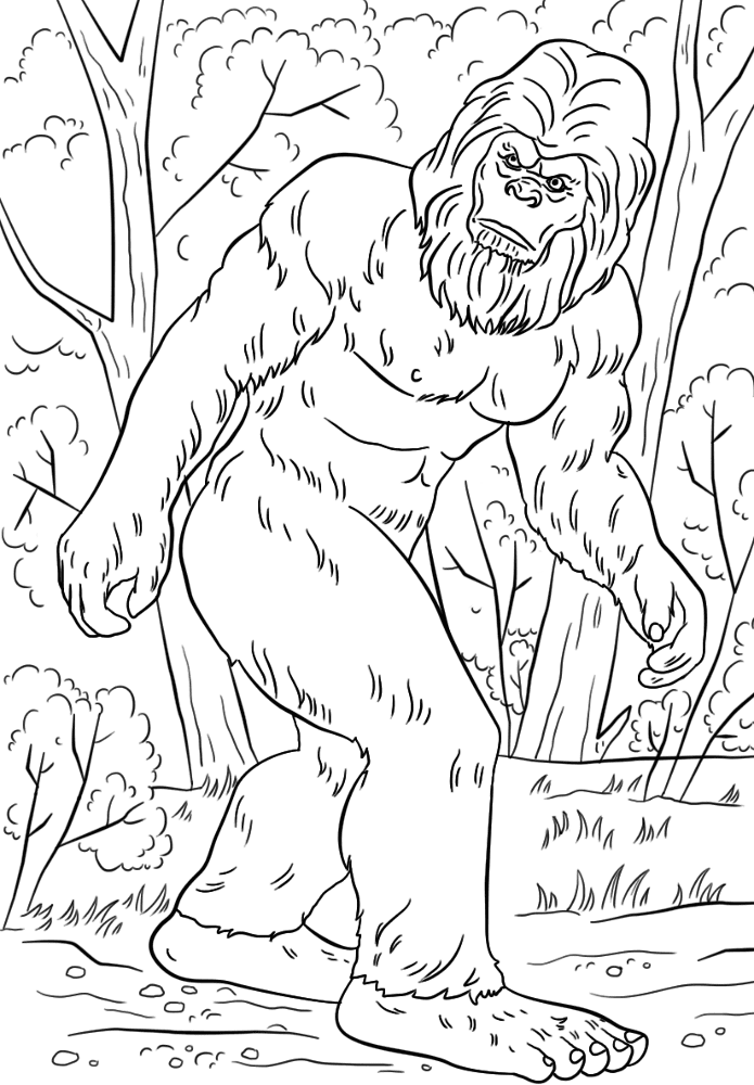 Desenho de Geral para colorir