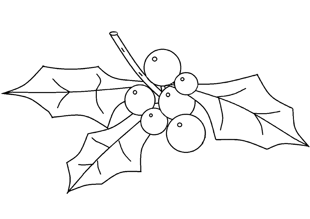 Desenho de Geral para colorir