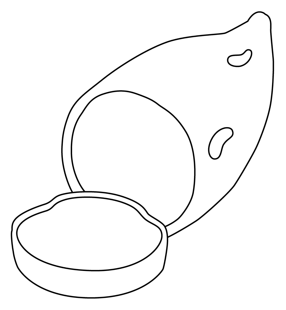 Desenho de Geral para colorir