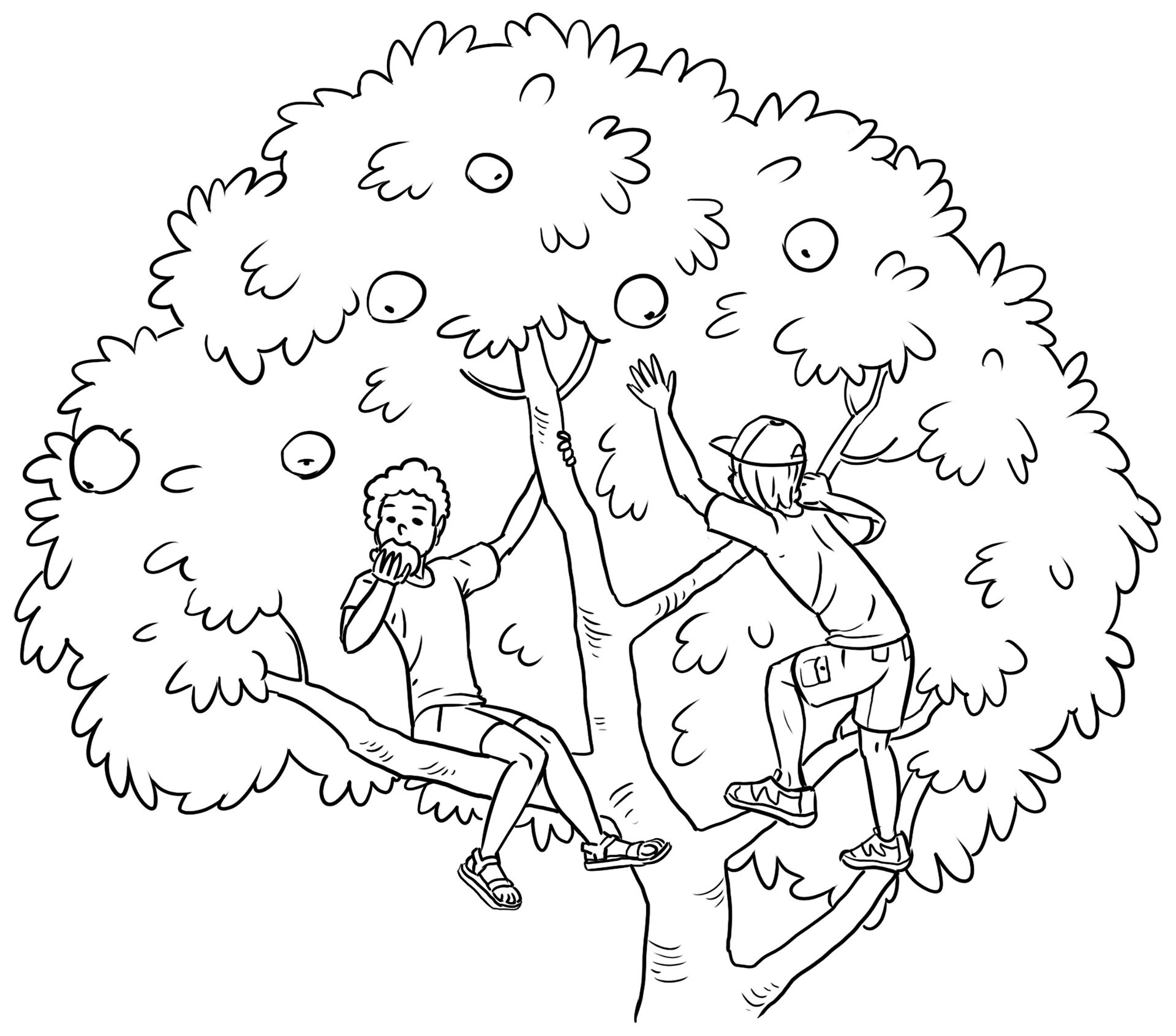 Desenho de Geral para colorir