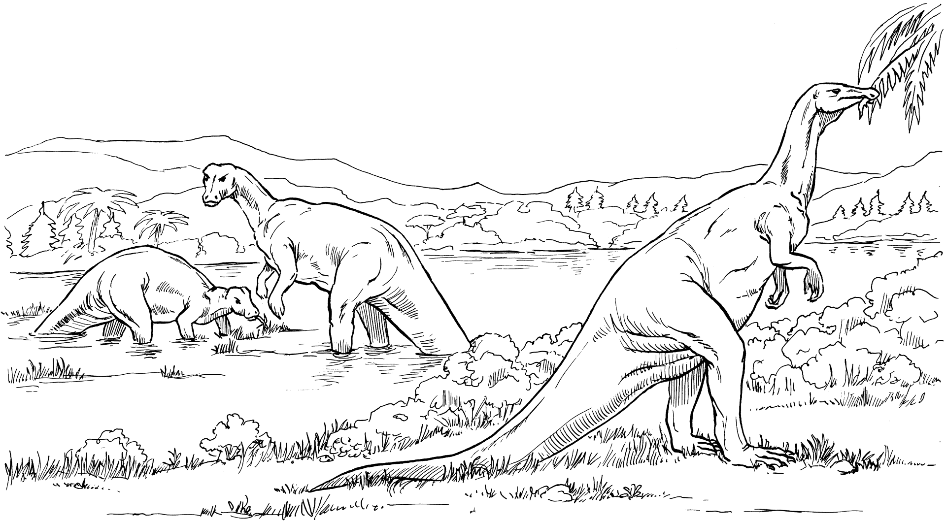 Desenho de Geral para colorir