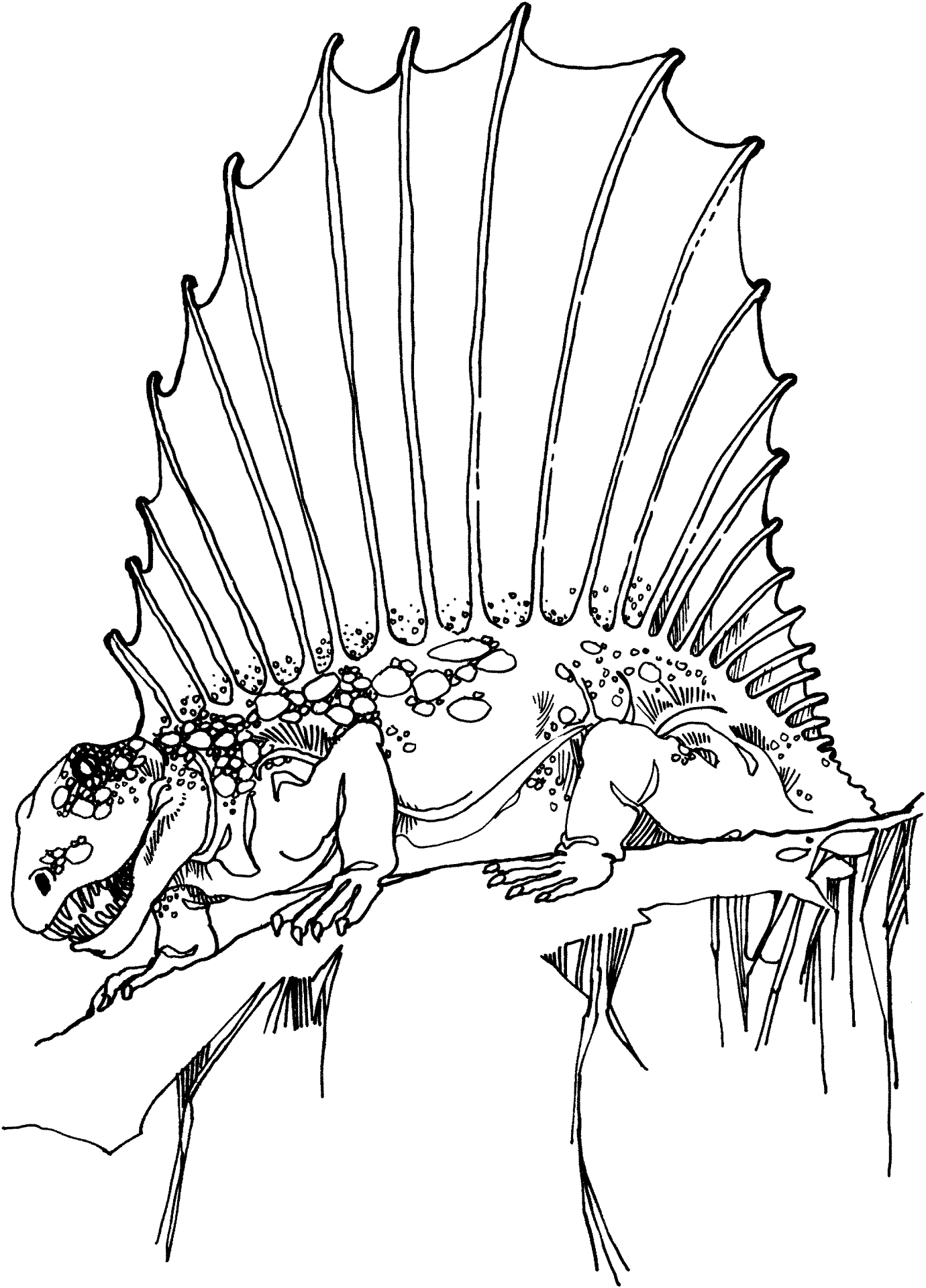 Desenho de Geral para colorir
