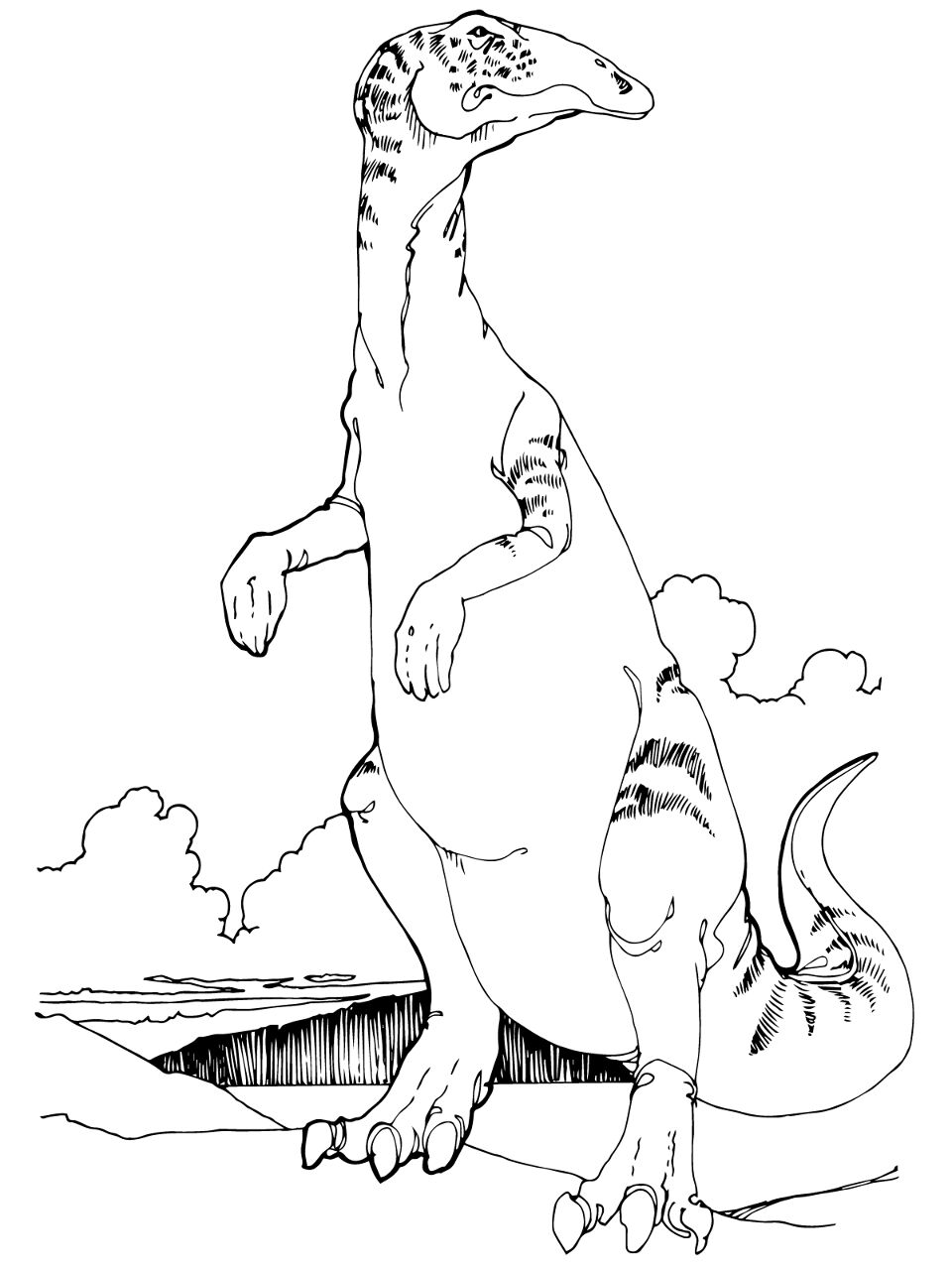 Desenho de Geral para colorir