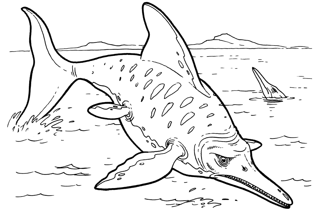 Desenho de Geral para colorir