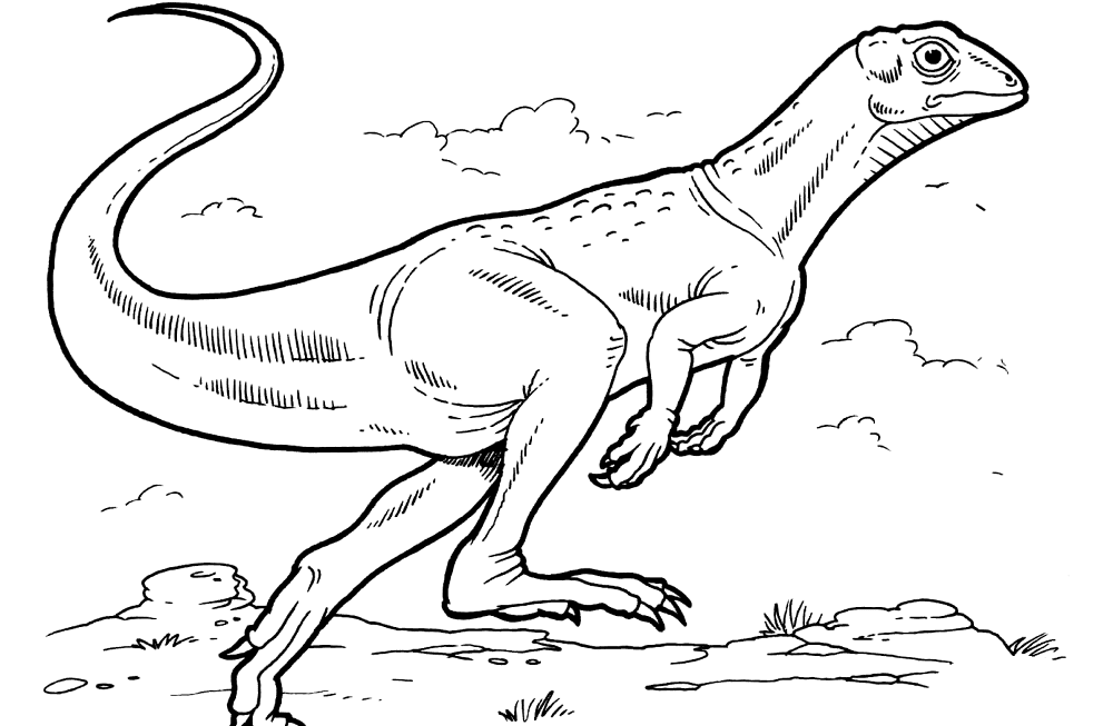 Desenho de Geral para colorir