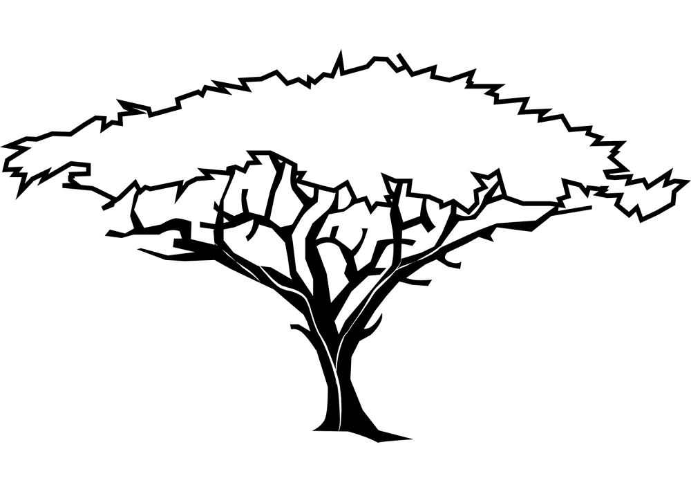 Desenho de Geral para colorir