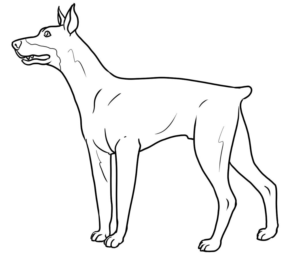 Desenho de Geral para colorir