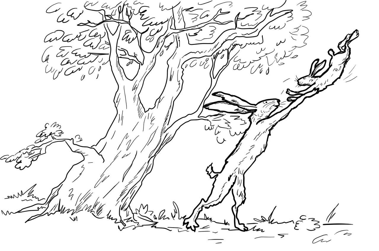 Desenho de Geral para colorir