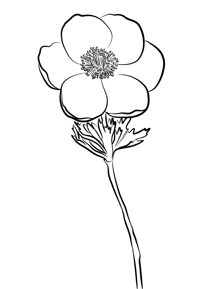 Desenho de Geral para colorir