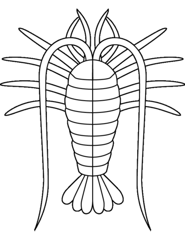 Desenho de Geral para colorir